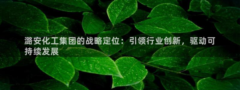 球盟会网址：潞安化工集团的战略定位：引领行业创新，驱动可
持