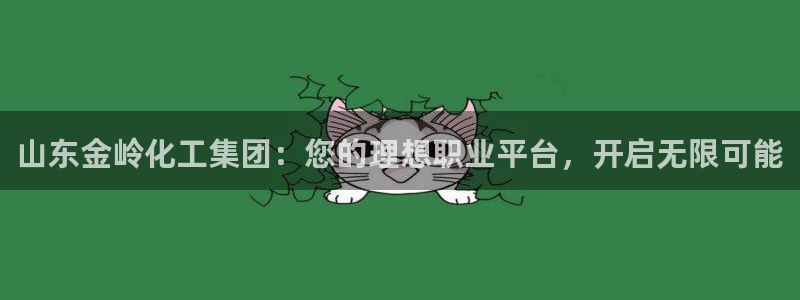 球盟会电子好黑：山东金岭化工集团：您的理想职业平台，开启无限