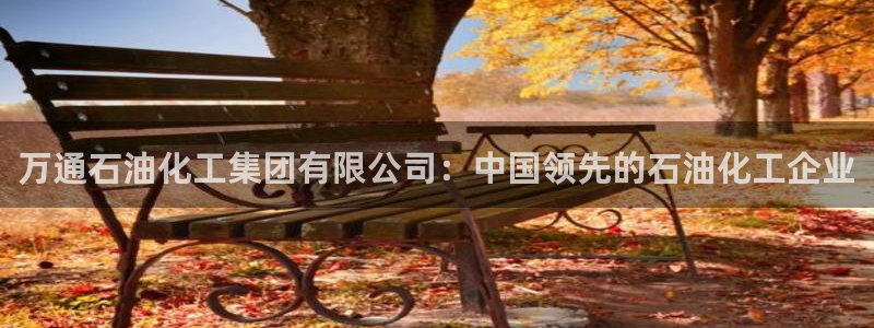 球盟会登陆中心：万通石油化工集团有限公司：中国领先的石油化工