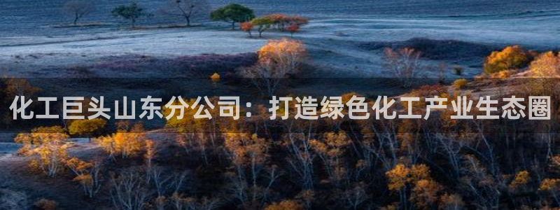 球盟会app网址多少号：化工巨头山东分公