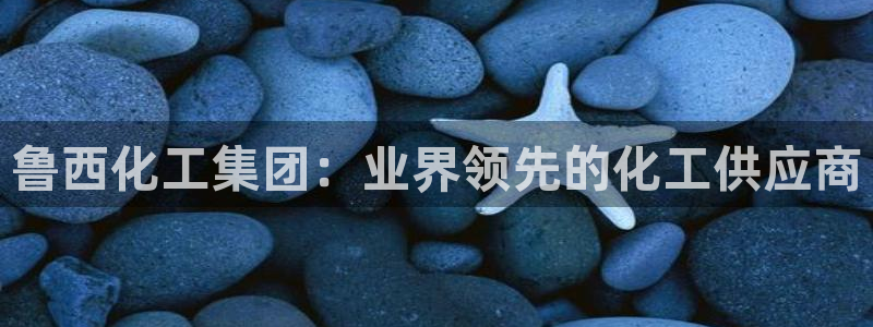球盟会app最新地址在哪看：鲁西化工集团