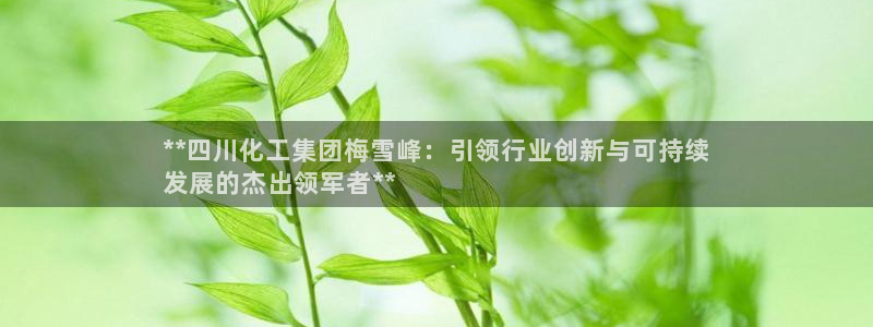 球盟会可以提现么现在：**四川化工集团梅雪峰：引领行业创新与