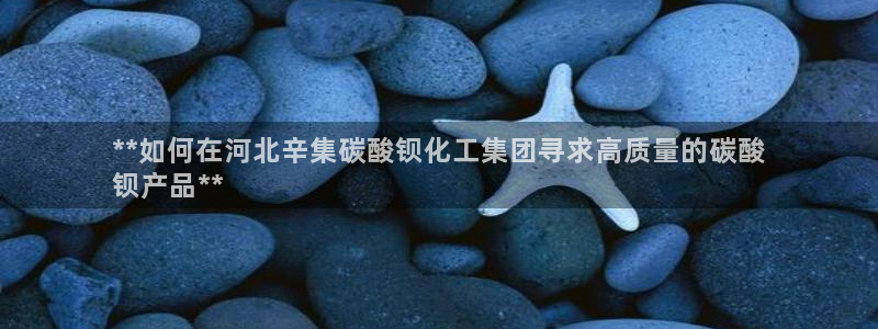 球盟会qm8597：**如何在河北辛集碳酸钡化工集团寻求高质