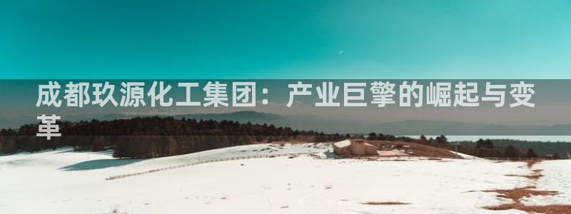 球盟会游戏：成都玖源化工集团：产业巨擎的