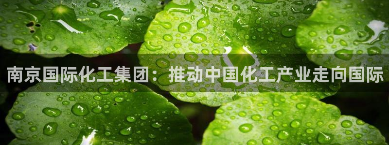 球盟会app最新地址在哪找：南京国际化工