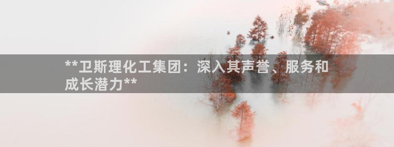 球盟会用的客服聊天是哪个软件：**卫斯理化工集团：深入其声誉