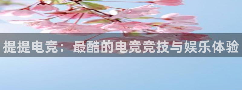 乐竞电竞官网：提提电竞：最酷的电竞竞技与娱乐体验