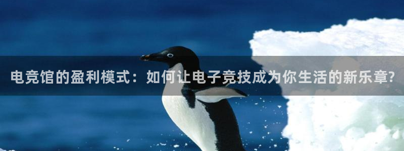 乐竞电竞官网：电竞馆的盈利模式：如何让电子竞技成为你生活的新乐章?