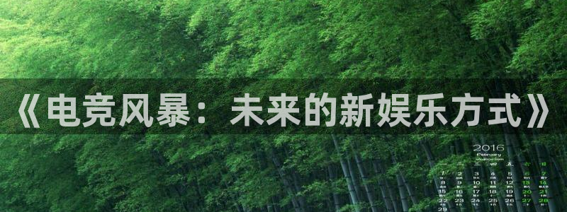乐竞电竞实训中心收费标准：《电竞风暴：未来的新娱乐方式》