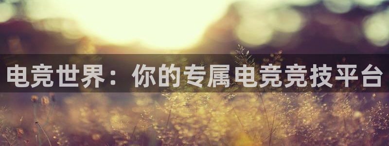 乐竞电竞官网首页：电竞世界：你的专属电竞竞技平台